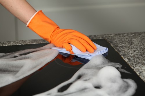 Carpet cleaning equipment used in West Norwood property