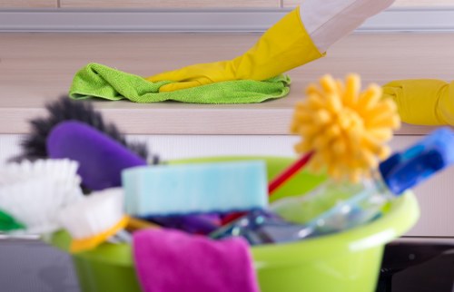 Carpet cleaning team using safe cleaning equipment in a home interior