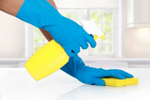 Professional pet stain odour removal in West Norwood on carpet