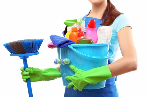 West Norwood Carpet Cleaners introduction with professional carpet cleaning focus