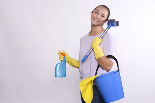 Factors affecting carpet cleaning quotes in West Norwood
