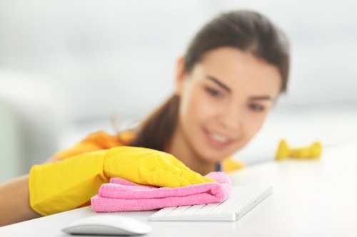 Professional carpet care and cleaning methods used by West Norwood Carpet Cleaners