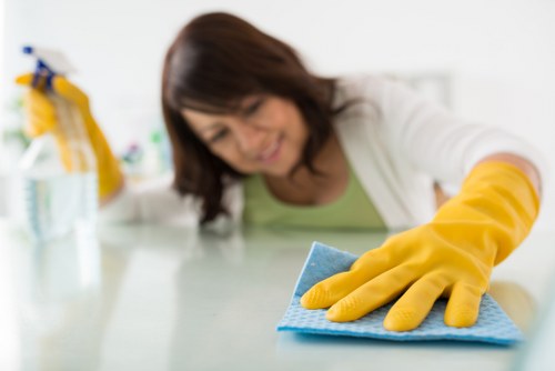 Cleaning upholstery and mattress affected by pet odours