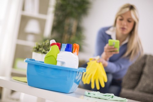 West Norwood upholstery and carpet cleaning for pet accidents