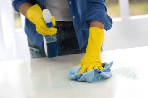 Inspection of carpet cleaning result during a complaint review